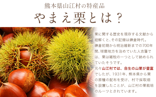熊本県山江村産 山江村の栗まんじゅう 株式会社 やまえ《60日以内に出荷予定(土日祝除く)》 栗 くり
