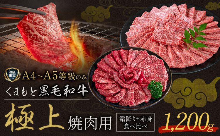 畜産農家応援企画★黒毛和牛 くまもと黒毛和牛 A4-A5等級 霜降り 赤身 食べ比べ セット 焼肉用 1200g 牛肉《7-14日以内に出荷予定(土日祝除く)》焼肉 焼き肉
