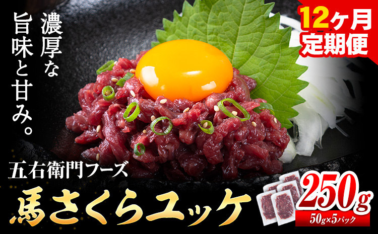 馬肉 馬さくらユッケ 50g × 5パック 3kg 12ヶ月定期便 五右衛門フーズ 《お申込み月の翌月から出荷開始》 熊本県 球磨郡 山江村 馬肉 肉 国産 馬 さくら ユッケ 小分け 送料無料