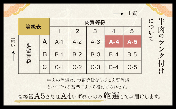 黒毛和牛 くまもと黒毛和牛 A4-A5等級 赤身 すき焼き しゃぶしゃぶ スライス 300g 牛肉《3-7日以内に出荷予定(土日祝除く)》