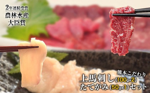 馬刺し 上赤身 ブロック 国産 熊本肥育 冷凍 生食用 たれ付き(100g×2)＋たてがみセット(50g×1) 肉 期間限定 絶品 牛肉よりヘルシー 馬肉 予約 平成27年28年 農林水産大臣賞受賞 熊本県山江村《90日以内に出荷予定(土日祝除く)》