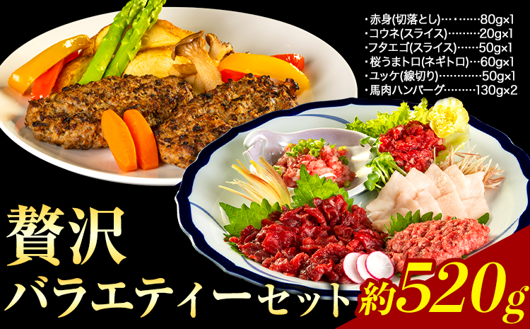 贅沢バラエティセット 520g 馬肉 冷凍 《60日以内に出荷予定(土日祝除く)》 新鮮 さばきたて 生食用 肉 熊本県球磨郡山江村 馬刺し 馬肉 惣菜 希少部位