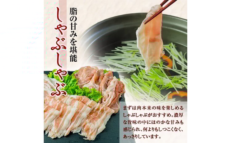 【12カ月定期便】一勝地赤豚 しゃぶしゃぶ・焼肉 堪能定期便 FKP9-447