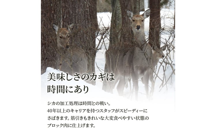 繧キ繧ォ閧 繝ュ繝シ繧ケ繝サ繝「繝「繝悶Ο繝繧ッシ1kg莉・荳奇シ FKP9-001