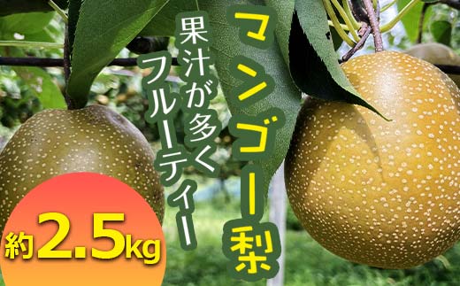 FKP9-652 [先行予約]マンゴー梨(王秋梨)約2.5kg なし ナシ 梨 デザート フルーツ 果物 くだもの 果実 食品