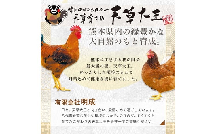 天草大王　簡単美味しいセット FKP9-345