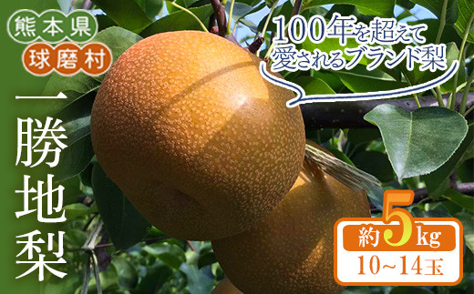 FKP9-684 【先行予約】一勝地梨 約5kg