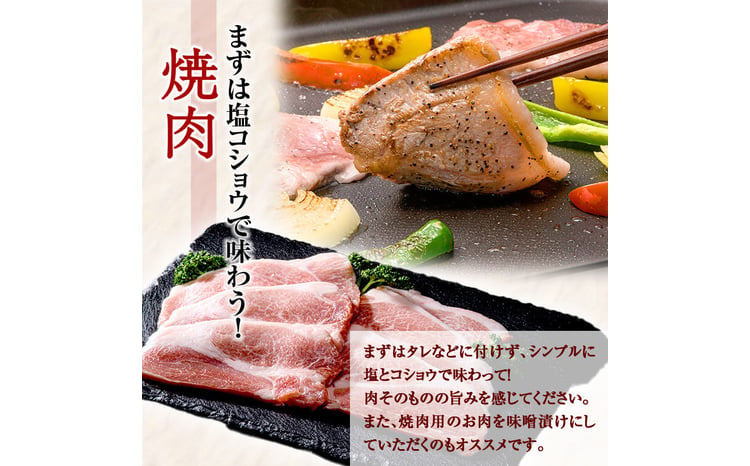 縲6繝オ譛亥ョ壽悄縲台ク蜍晏慍襍、雎夂┥閧峨そ繝繝(1kg) FKP9-460