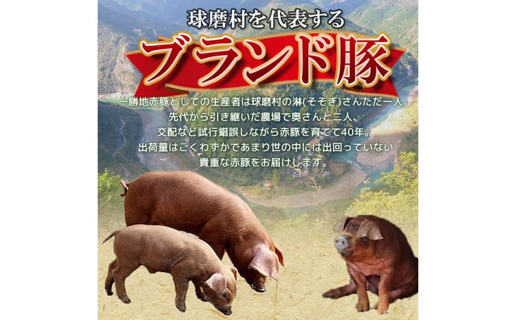 【12ヵ月定期】一勝地赤豚焼肉セット(1kg) FKP9-461