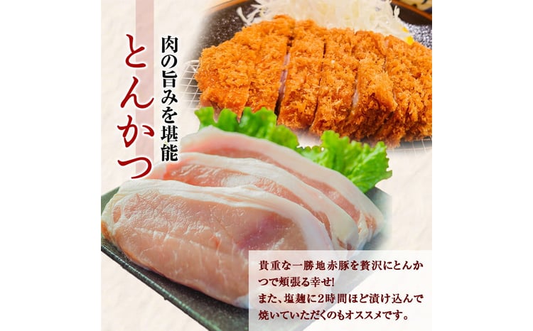 荳蜍晏慍襍、雎夊ゥー繧∝粋繧上○シ3.1kgシ FKP9-140