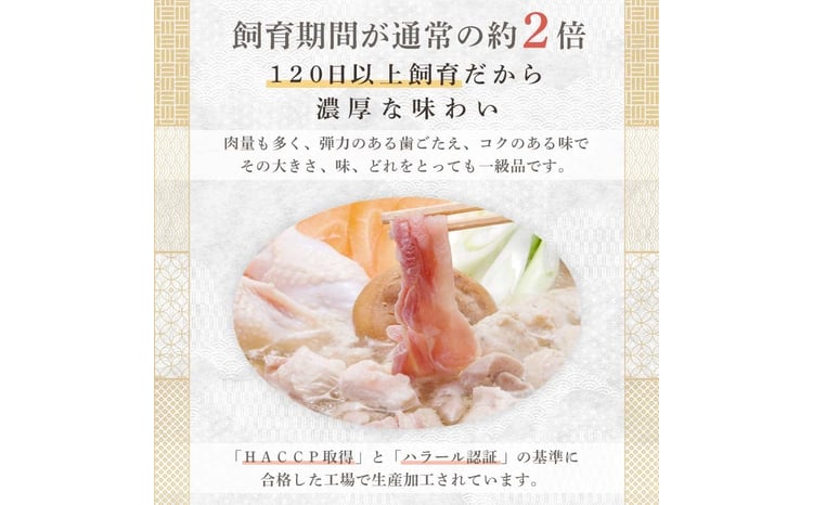 天草大王　地鶏鍋セット(3〜4人前) FKP9-344
