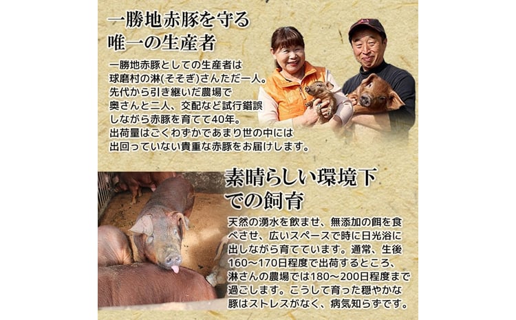 縲6繝オ譛亥ョ壽悄縲台ク蜍晏慍襍、雎夂┥閧峨そ繝繝(1kg) FKP9-460