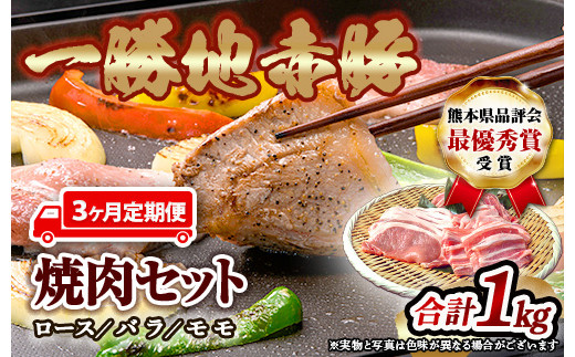 【3ヵ月定期】一勝地赤豚焼肉セット(1kg) FKP9-285
