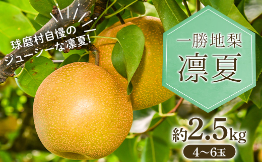 [先行予約]新品種!一勝地梨 凛夏 約2.5kg なし ナシ デザート フルーツ 果物 くだもの 果実 食品 FKP9-714