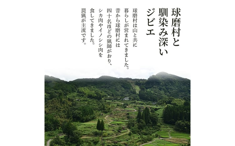 繧キ繧ォ閧 繝ュ繝シ繧ケ繝サ繝「繝「繝悶Ο繝繧ッシ1kg莉・荳奇シ FKP9-001