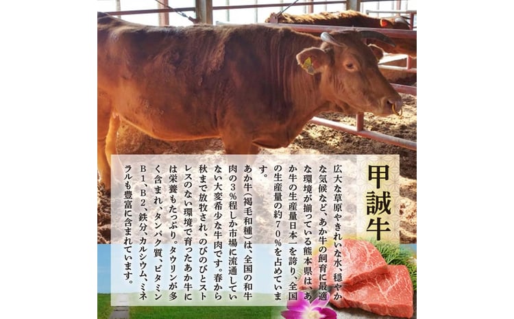 あか牛 リブロース スライスセット FKP9-508