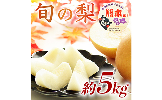 球磨村 旬の梨おまかせ 5kg ナシ 梨 果物 くだもの フルーツ FKP9-727