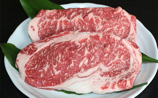 【数量限定】 【ＧＩ認証】 くまもとあか牛ロースステーキ（500g） FKP9-471