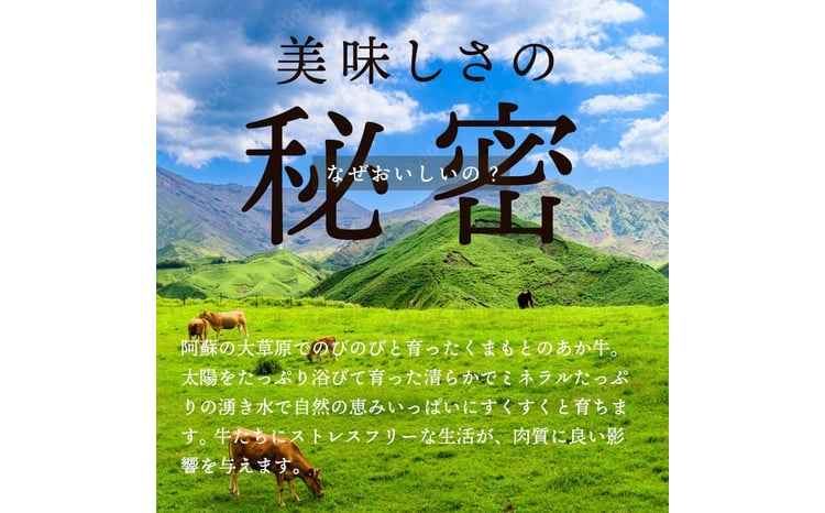 【数量限定】 【ＧＩ認証】 くまもとあか牛ロースステーキ（500g） FKP9-471