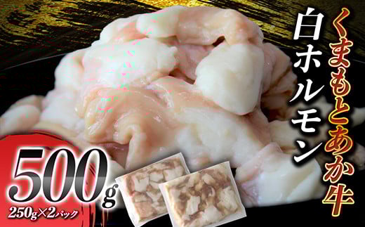 くまもとあか牛 白ホルモン 500g（250g×2パック） FKP9-411