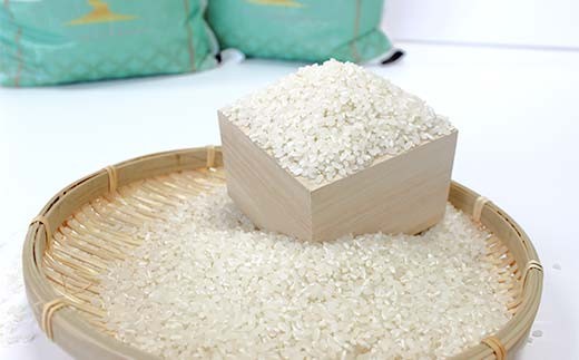 【令和7年度産】人吉球磨産白米 ひのひかり 5kg FKP9-678