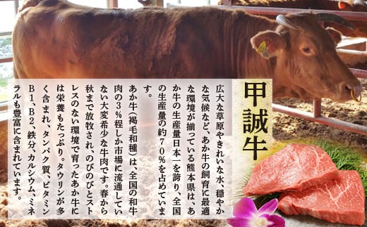 縺ゅ°迚 繝ュ繝シ繧ケ繧ケ繝繝シ繧ュ繧サ繝繝 FKP9-513