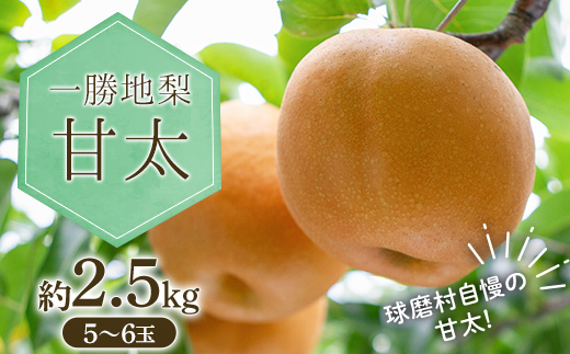 一勝地梨 甘太 約2.5kg なし ナシ デザート フルーツ 果物 くだもの 果実 食品 FKP9-713