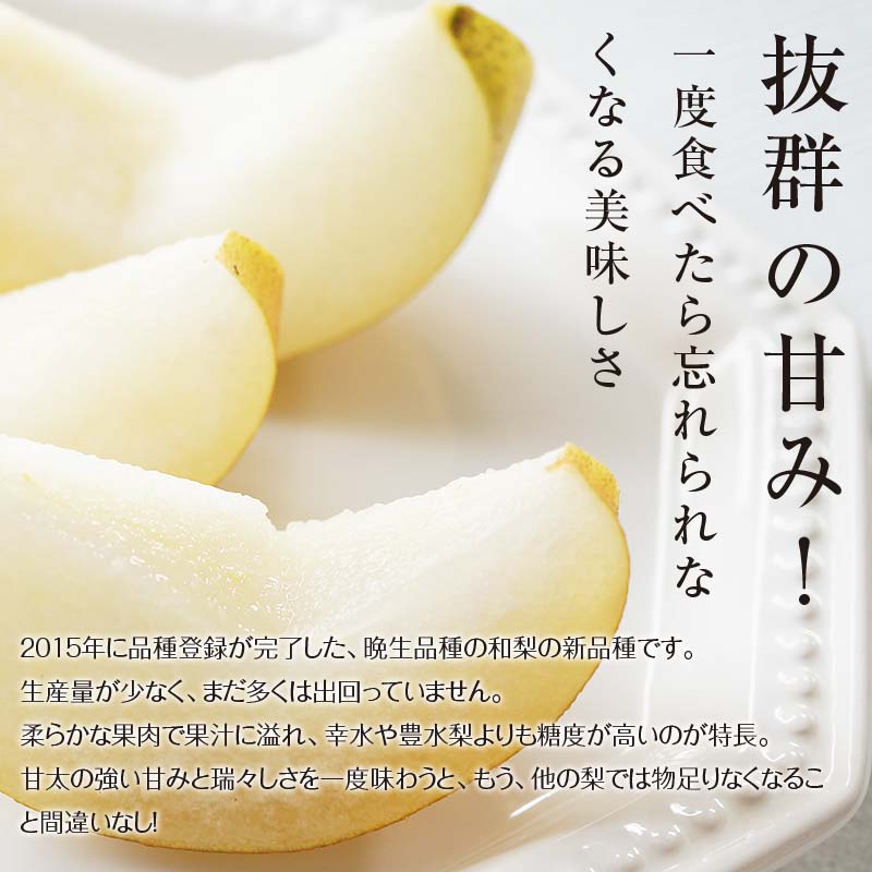 FKP9-651 ãå
è¡äºçŽã極ããŸã£ïŒç倪 (çŽ2.5kg) ãªã ã㷠梚 ãã¶ãŒã ãã«ãŒã æç© ãã ãã® æå® é£å