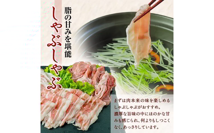 一勝地赤豚しゃぶしゃぶセット（1kg） FKP9-138