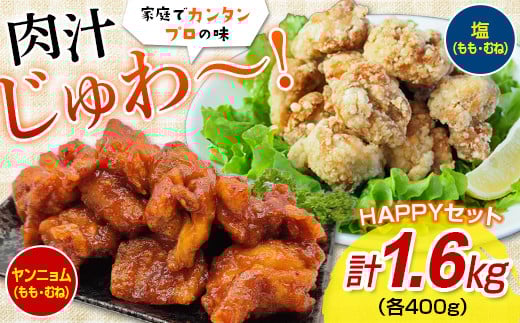唐揚げHAPPYセット（塩・ヤンニョム）1.6キロ FKP9-348