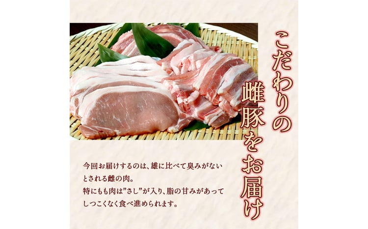 【12ヵ月定期】一勝地赤豚焼肉セット(1kg) FKP9-461