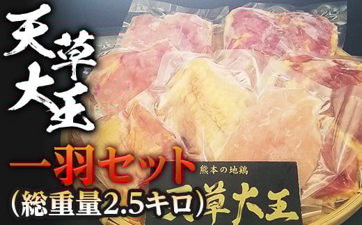 天草大王　一羽セット(総重量2.5キロ) FKP9-343