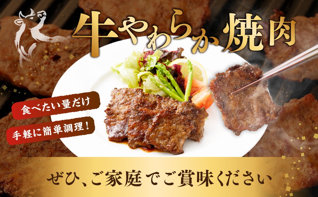 【定期便3回】 牛やわらか焼肉 ／ 1回あたり：500g×2パック 計1kg ／ 焼肉 焼き肉 牛 肉牛 冷凍 熊本県 あさぎり町