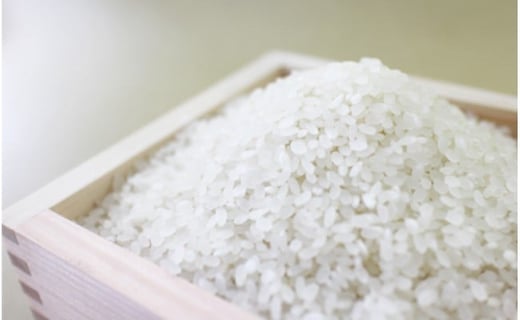 【3回定期便】 熊本県あさぎり町産のお米ヒノヒカリ 10kg（5kg×2袋）×3回発送 お米 米 ライス おにぎり 弁当 お弁当 国産 九州 熊本県 あさぎり町 常温