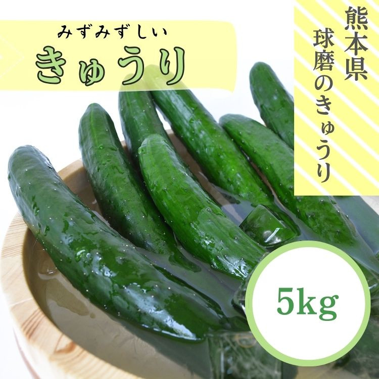 【先行受付】【発送時期：2026年5月中旬～9月下旬】熊本県ＪＡくま産　球磨のきゅうり　5㎏