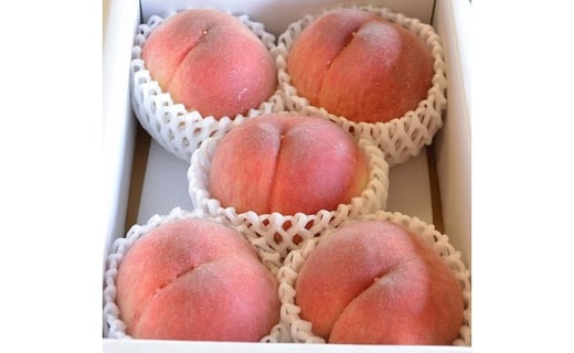 【先行受付】【発送時期：2026年5月下旬～6月下旬】熊本県ＪＡくま産　球磨の桃　1kg(5玉～6玉　旬な品種)