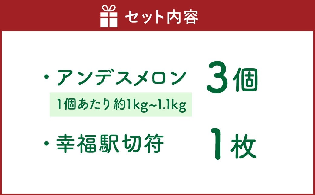 中村さんの幸福メロン（アンデスメロン） 3個 メロン 果物 フルーツ 常温 熊本県 あさぎり町 【2026年4月下旬～5月上旬まで発送予定】