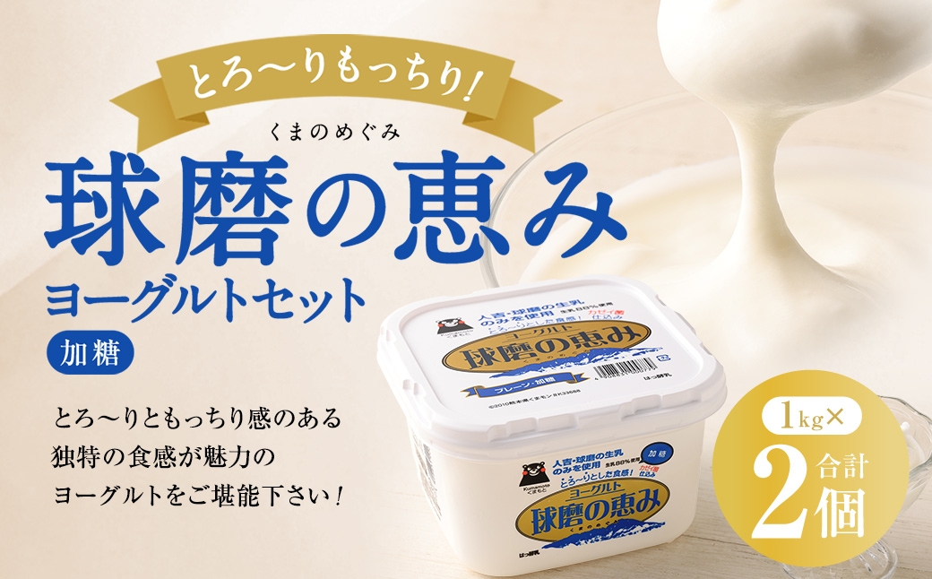 とろ～り食感！！球磨の恵みヨーグルト 加糖タイプ 2kg（1kg×2パック） ヨーグルト 加糖 とろり食感 健康 牛乳 自然豊か 乳製品