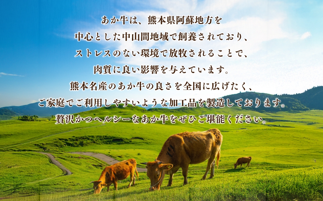 ããçãã³ããŒã° ãã çŽ2kg 赀身 å·å ç°¡å調ç å®¶åºæç ãè ã㯠ã«ã è çè ç ããç åœç£ çæ¬çç£ ãã³ããŒã°