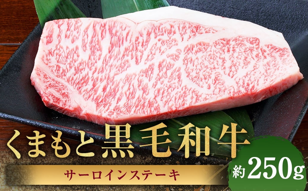 くまもと黒毛和牛 サーロインステーキ 約250g 黒毛和牛 和牛 牛肉 牛 肉 にく ニク お肉 サーロイン ステーキ 黒毛和牛 和牛 牛肉 牛 肉 にく ニク お肉 サーロイン ステーキ