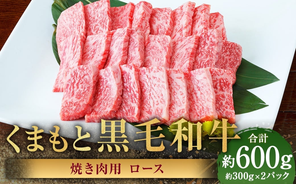 くまもと黒毛和牛 焼き肉用ロース 計約600g（約300g×2パック） 黒毛和牛 和牛 牛肉 牛 肉 にく ニク お肉 焼肉 焼き肉 ロース 黒毛和牛 和牛 牛肉 牛 肉 にく ニク お肉 焼肉 焼き肉 ロース