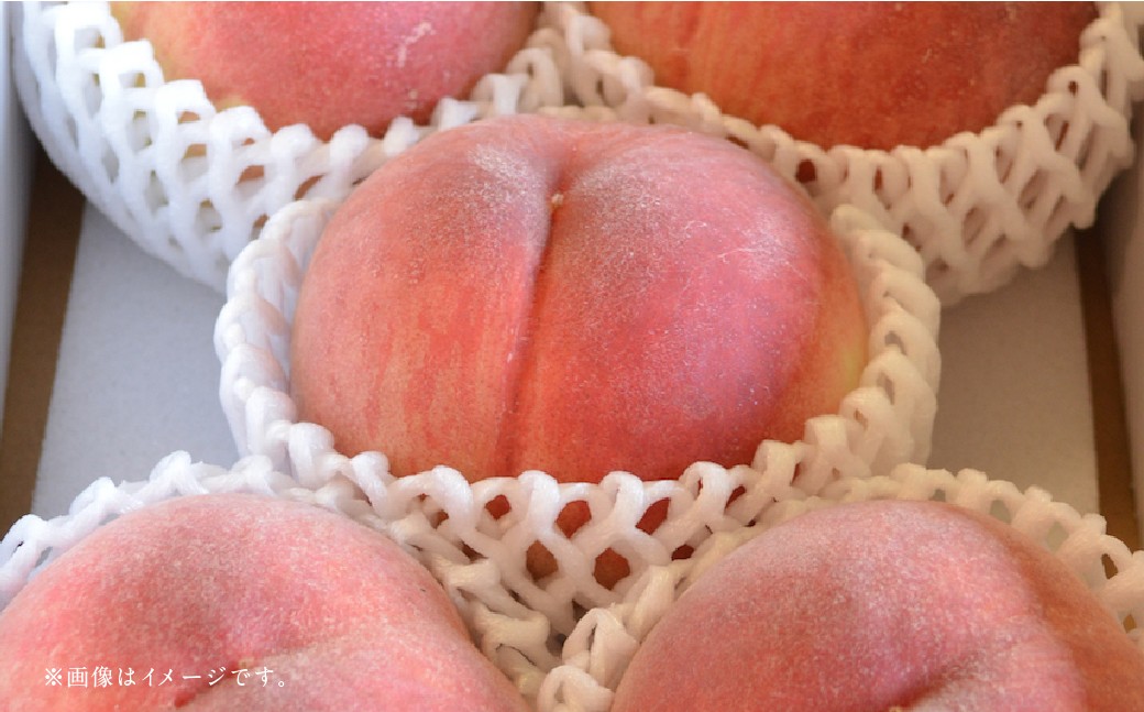 【フルーツ2回定期便】 球磨のいちご 1kg ＋ 桃 1kg 【2026年1月中旬〜6月下旬迄順次発送予定】 苺 いちご イチゴ もも モモ 果物 果実 フルーツ 定期便 九州 熊本県 あさぎり町 冷蔵