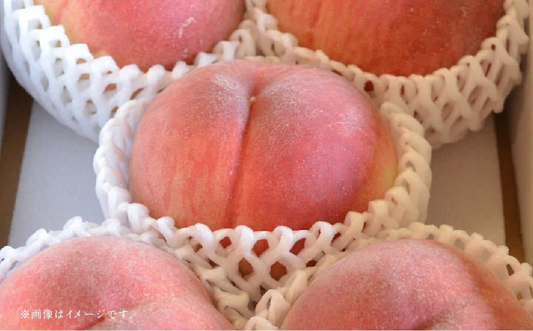 【フルーツ2回定期便】 桃 1kg ＋ 梨 5kg 【2026年5月下旬〜10月上旬迄順次発送予定】 もも モモ なし ナシ 和梨 果物 果実 フルーツ 定期便 九州 熊本県 あさぎり町 常温