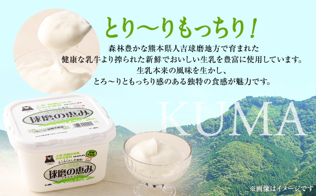 とろ～り食感！！球磨の恵みヨーグルト 砂糖不使用タイプ 2kg（1kg×2パック） ヨーグルト 砂糖不使用 とろり食感 健康 牛乳 自然豊か 乳製品
