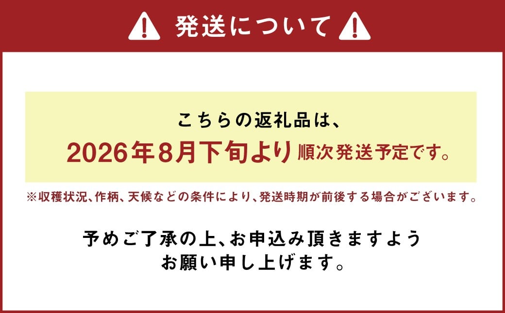 辭頑悽逵後≠縺輔℃繧顔伴逕」縲逋ス縺ュ縺弱檎帥逎ィ鄒惹ココ縲広繧オ繧、繧コテ30譛ャ縲縺雁ア翫¢譎よ悄シ2026蟷エ8譛井ク区流繧医j鬆谺。逋コ騾√縲千區闡ア/逋ス繝阪ぐ/髟キ縺ュ縺/髟キ闡ア/髟キ繝阪ぐ縲