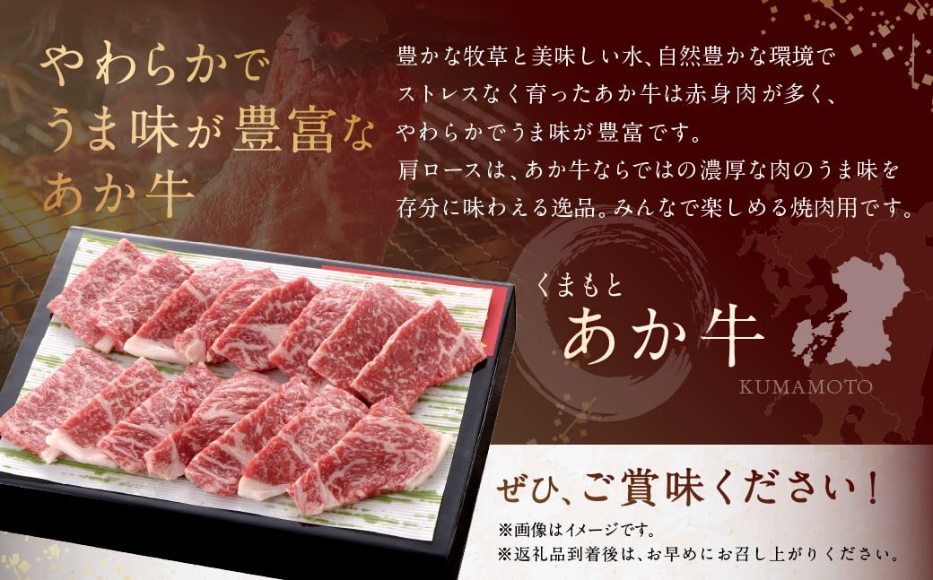 くまもとあか牛 肩ロース 焼肉 約250g あか牛 お肉 牛肉 赤身 焼き肉 料理 冷凍 熊本県産 国産 九州 熊本県 あさぎり町