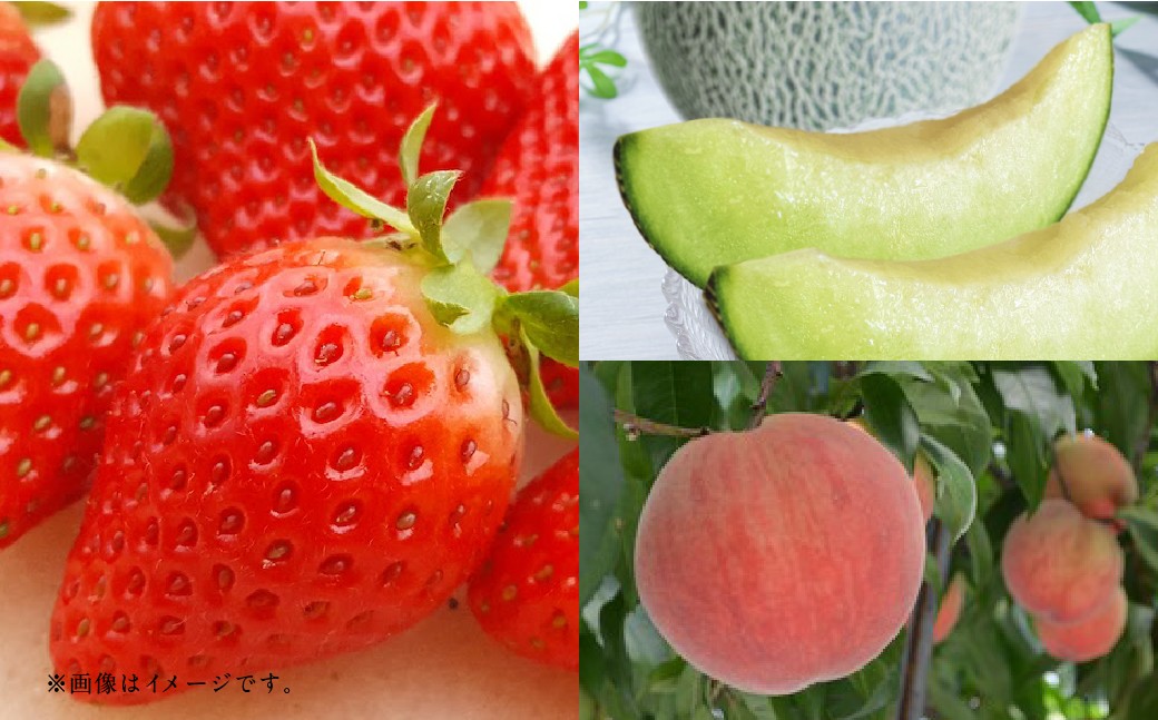 【フルーツ3回定期便】 球磨のいちご 1kg×4パック （計4kg） ＋  アンデスメロン 5kg ＋ 桃 1kg 【2026年1月中旬〜6月下旬迄順次発送予定】 苺 いちご イチゴ メロン もも モモ 果物 果実 フルーツ 定期便 九州 熊本県 あさぎり町 冷蔵