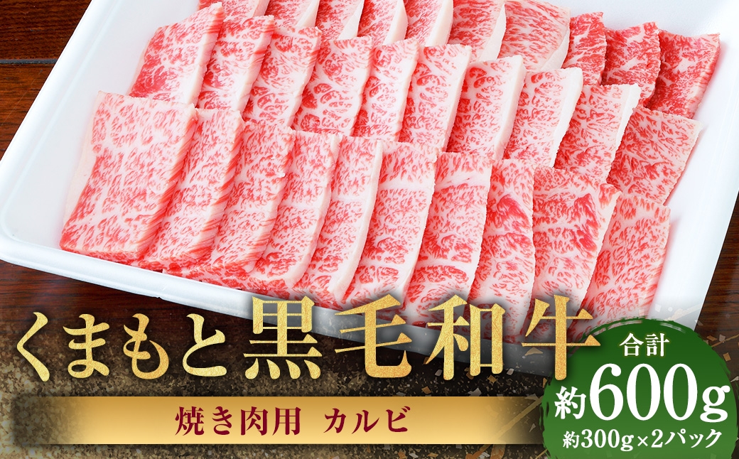 くまもと黒毛和牛 焼き肉用カルビ 計約600g（約300g×2パック） 黒毛和牛 和牛 牛肉 牛 肉 にく ニク お肉 焼肉 焼き肉 カルビ 黒毛和牛 和牛 牛肉 牛 肉 にく ニク お肉 焼肉 焼き肉 カルビ