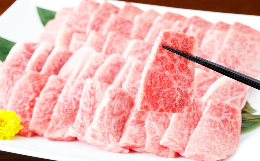 くまもと黒毛和牛 焼き肉用ロース 計約600g（約300g×2パック） 黒毛和牛 和牛 牛肉 牛 肉 にく ニク お肉 焼肉 焼き肉 ロース 黒毛和牛 和牛 牛肉 牛 肉 にく ニク お肉 焼肉 焼き肉 ロース