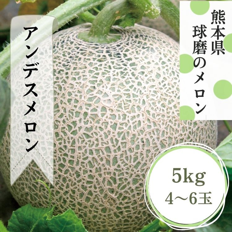 熊本県ＪＡくま産　アンデスメロン５㎏(4玉～6玉)  【先行受付】【発送時期：2026年5月上旬～5月下旬】